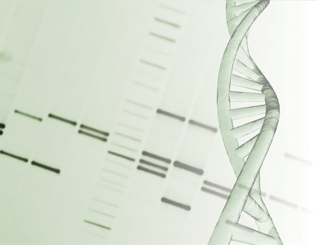 DNA double helix and molecular gel electrophoresis illustrating biomolecular engineering
