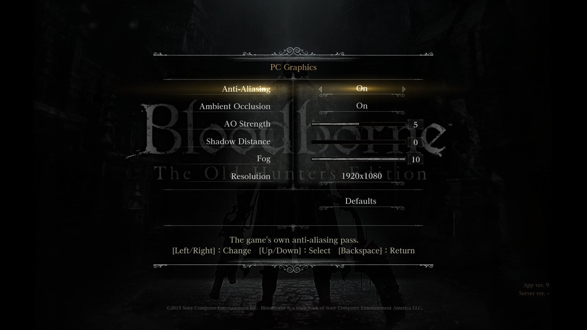 Bloodborne PC Graphics Settings Menu